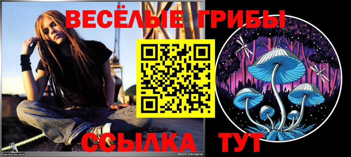 Ипатово  Галлюциногенные грибы Magic Shrooms  Вход с VPN  Псилоцибиновые грибы Magic Shrooms 