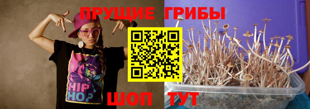 Псилоцибиновые грибы Magic Shrooms Ипатово